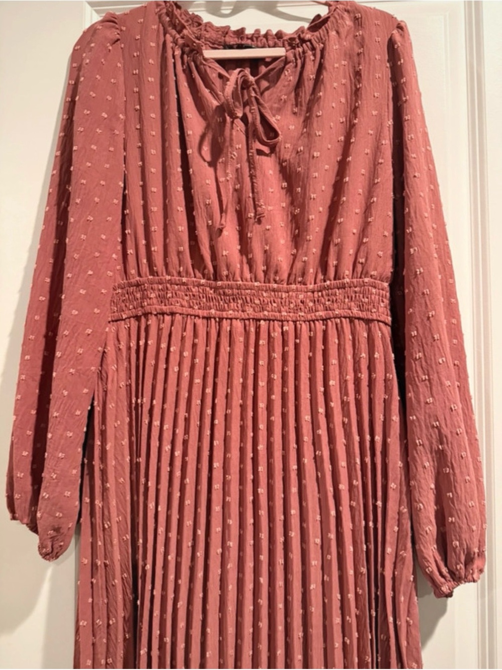 Long Pleated Swiss Dot Maxi Dress in Dusty Rose - Picture 2 of 3